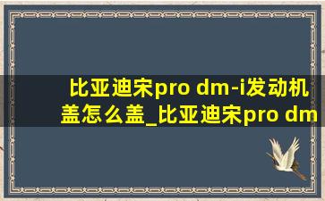 比亚迪宋pro dm-i发动机盖怎么盖_比亚迪宋pro dm-i发动机盖